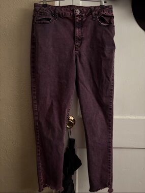 wild fable Plum-Tone Skinny Jeans